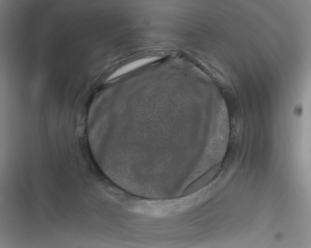 X0000116870033201001121311