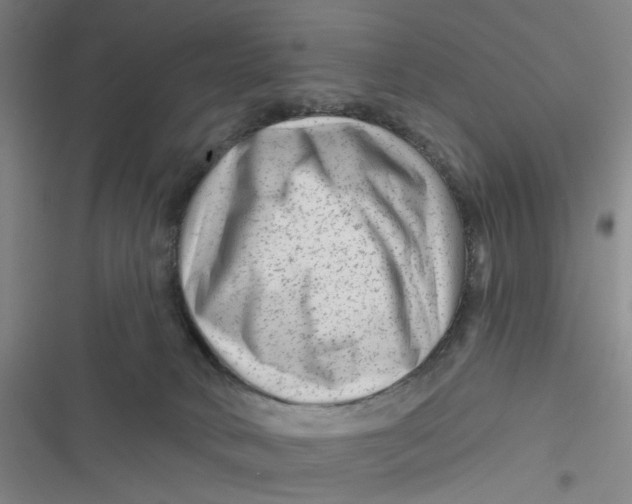X0000116870034201001121311