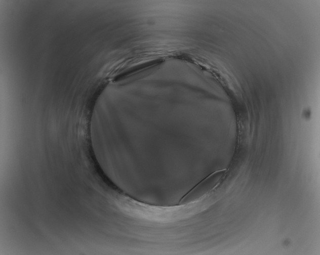 X0000116870035201001121311