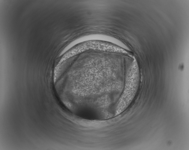 X0000116870036201001121311