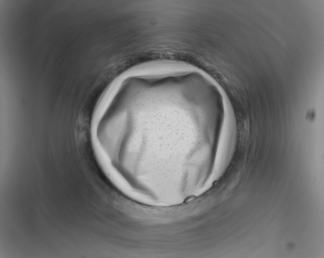 X0000116870038201001121311