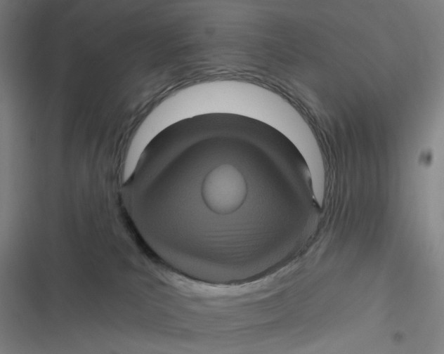 X0000116870039201001121311