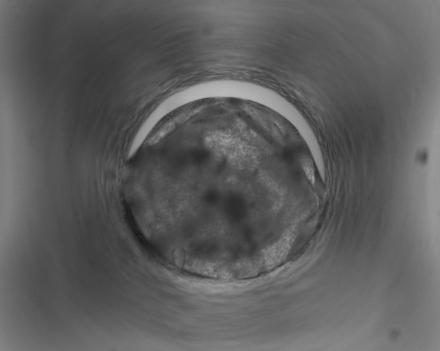 X0000116870040201001121311
