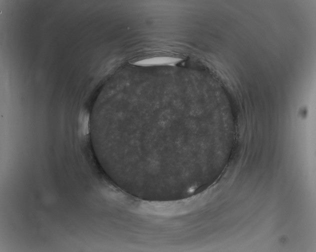 X0000116870041201001121311