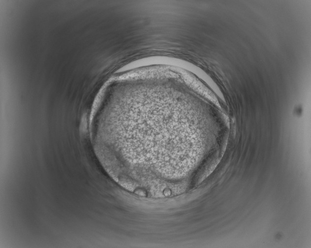 X0000116870042201001121311