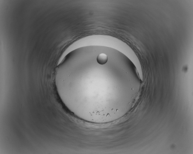 X0000116870043201001121311
