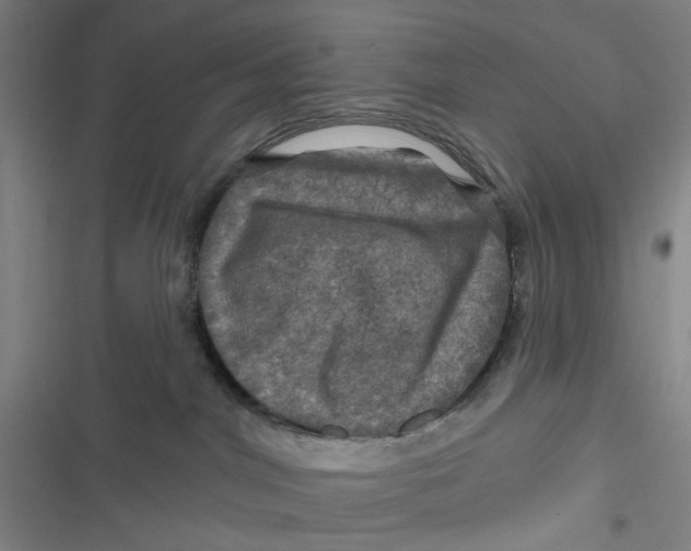 X0000116870044201001121311
