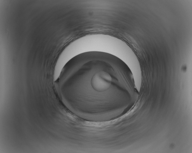 X0000116870045201001121311