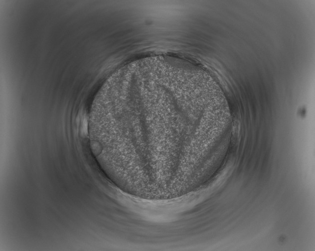 X0000116870046201001121311