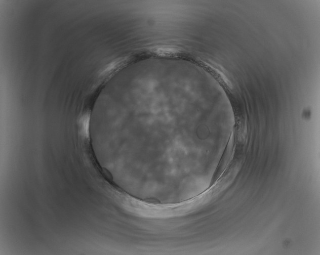 X0000116870047201001121311