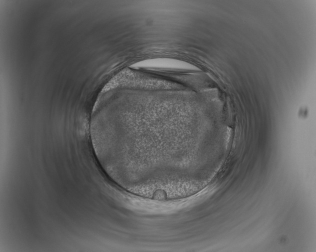 X0000116870048201001121311
