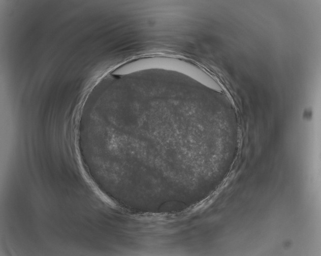 X0000116870049201001121310