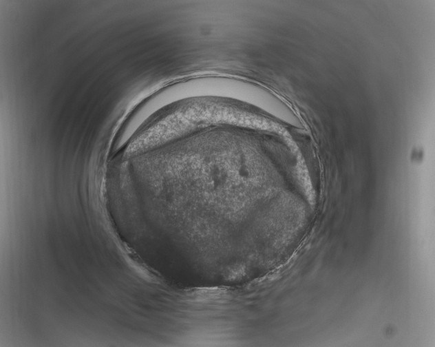 X0000116870050201001121310