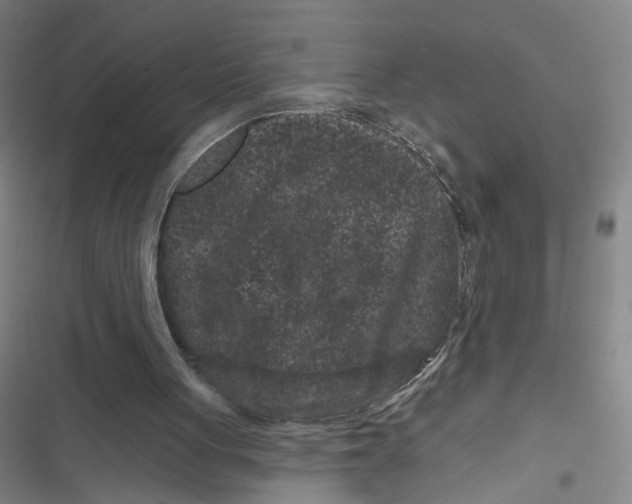 X0000116870051201001121310