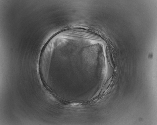 X0000116870052201001121310