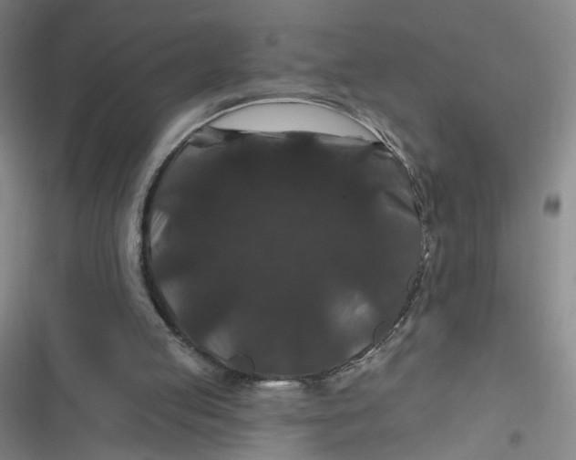 X0000116870053201001121310