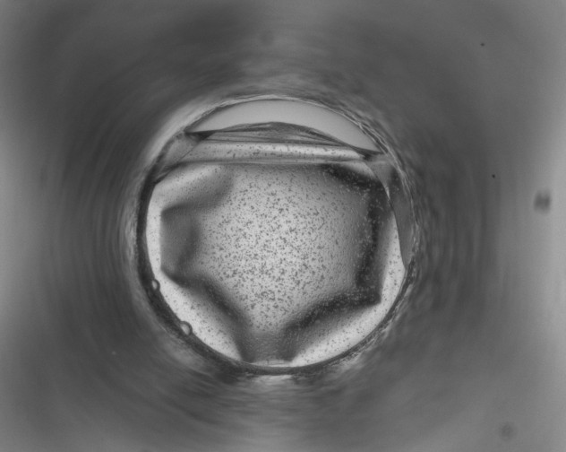 X0000116870054201001121310