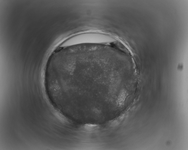 X0000116870055201001121310