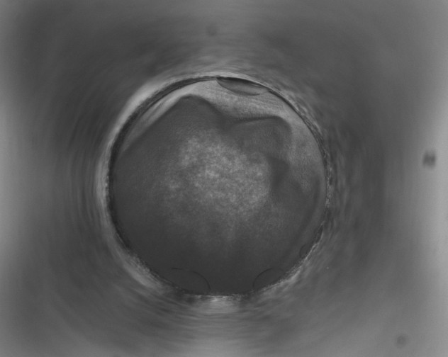 X0000116870056201001121310