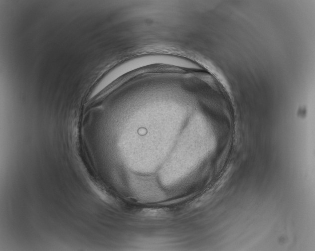 X0000116870057201001121310