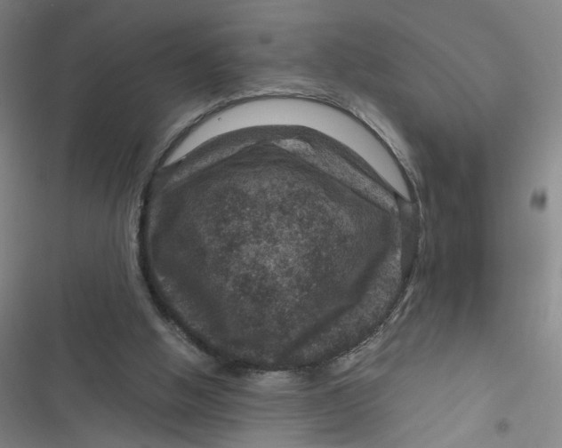 X0000116870058201001121310