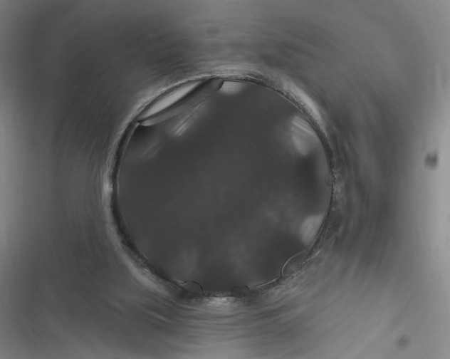 X0000116870059201001121310