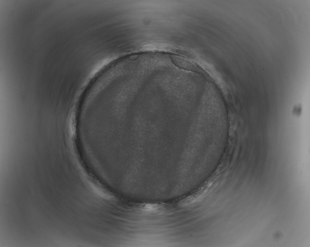 X0000116870060201001121310
