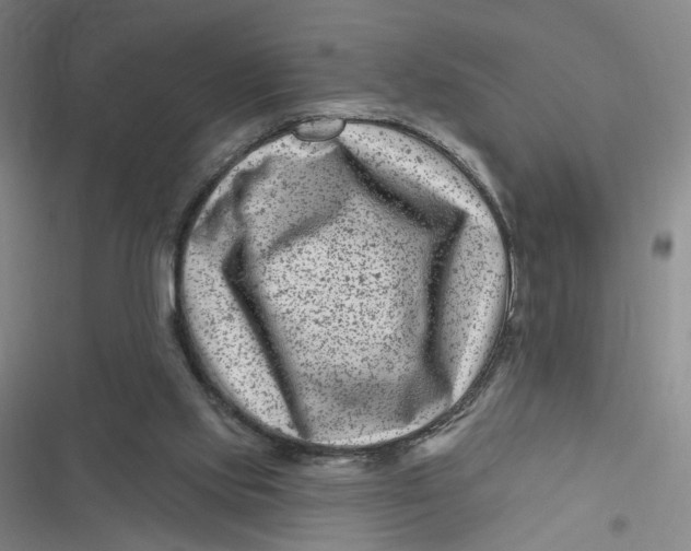 X0000116870061201001121310