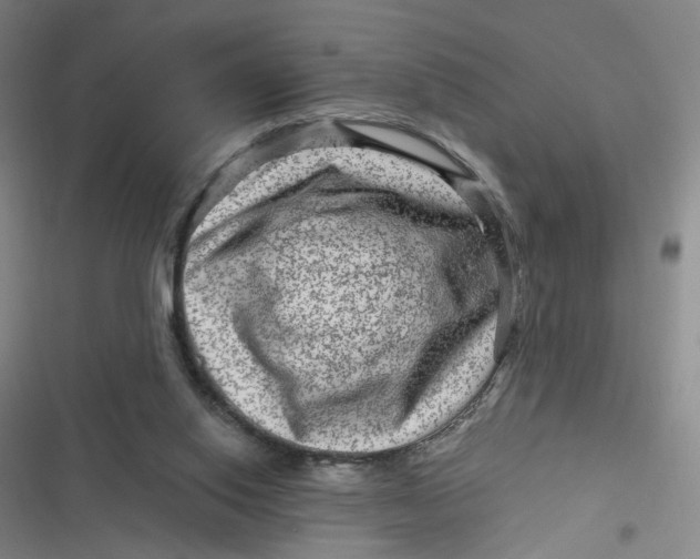 X0000116870062201001121310