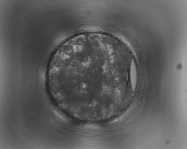 X0000116870063201001121310