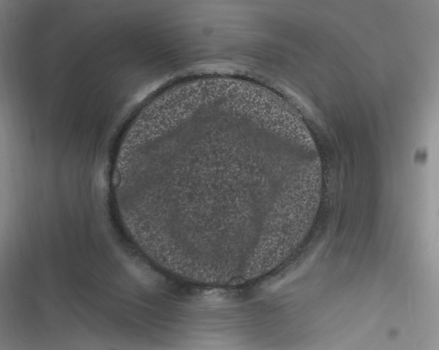 X0000116870064201001121310