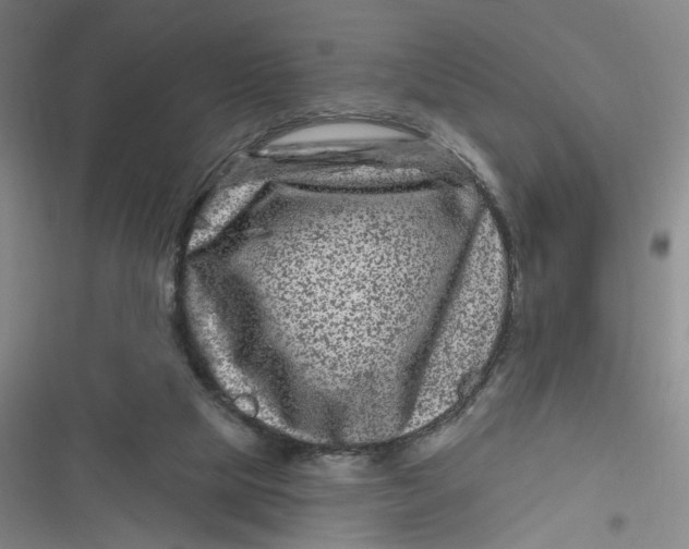 X0000116870065201001121310