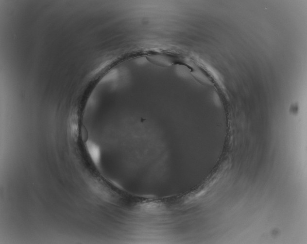 X0000116870067201001121310