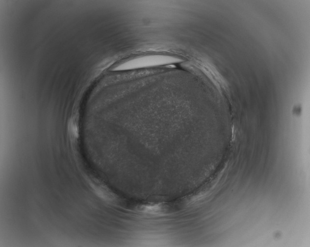 X0000116870068201001121310