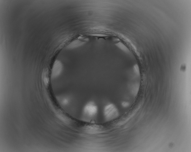 X0000116870069201001121310