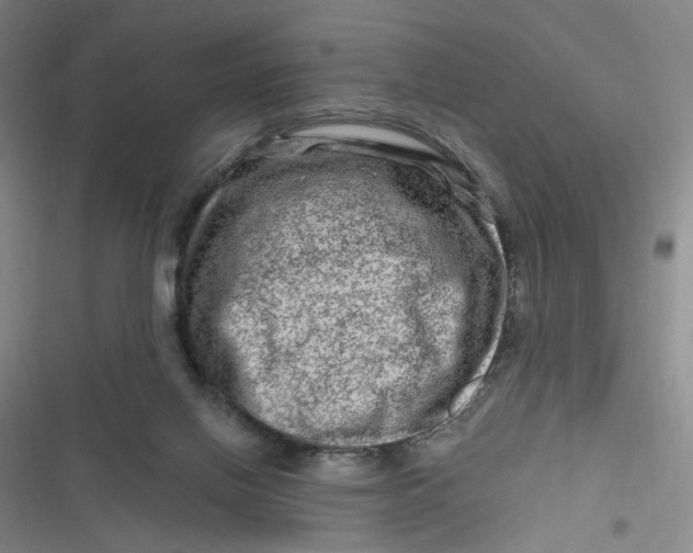 X0000116870070201001121310