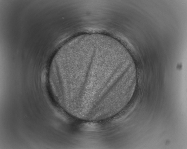 X0000116870071201001121310