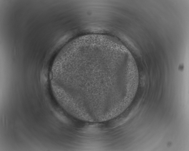 X0000116870072201001121310