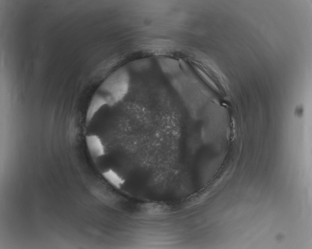 X0000116870073201001121310