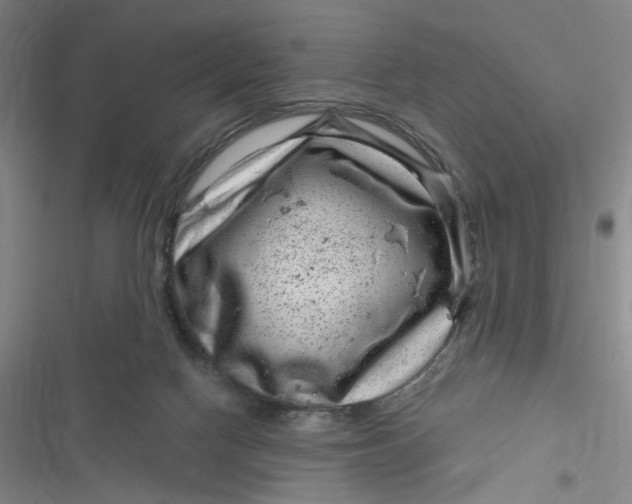 X0000116870074201001121310