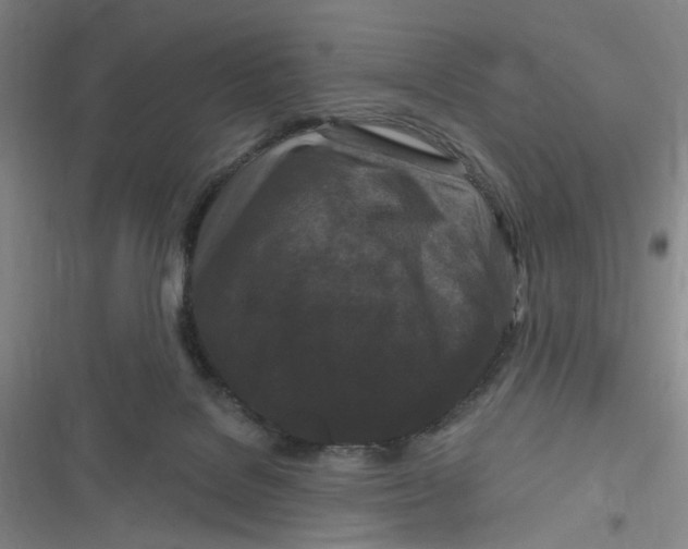 X0000116870076201001121310