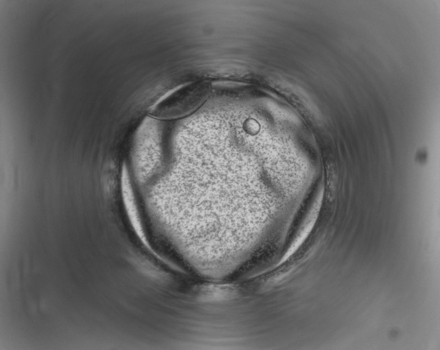 X0000116870077201001121310
