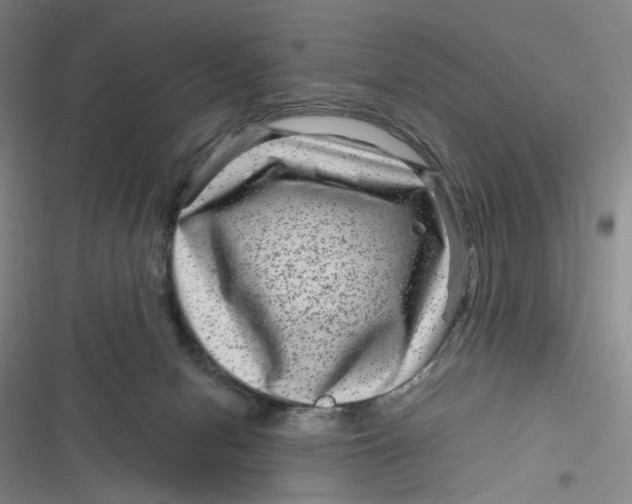 X0000116870078201001121310