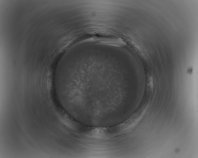 X0000116870080201001121310