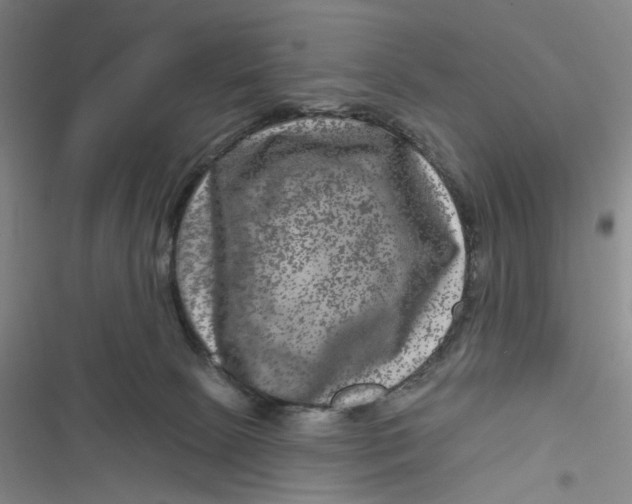 X0000116870081201001121310