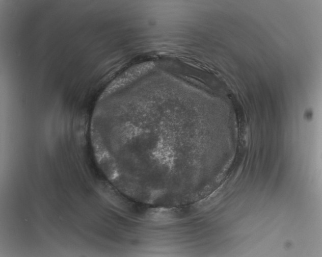 X0000116870082201001121310