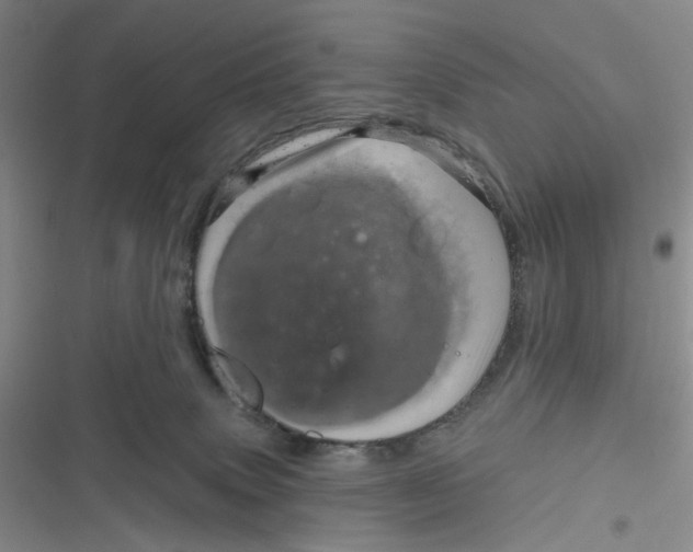 X0000116870083201001121310