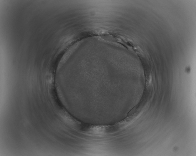 X0000116870084201001121310