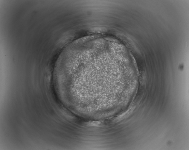 X0000116870086201001121310