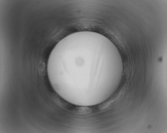 X0000116870087201001121310